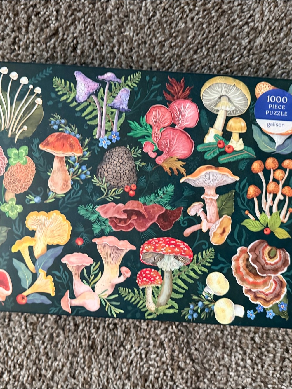 Botanical Mushroom 1000-Piece Puzzle – Vibrant Multicolor Art